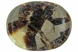 1.5" Polished Madagascar Septarian Worry Stones - Photo 4